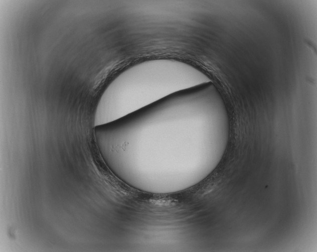 X0000102500693200808080945
