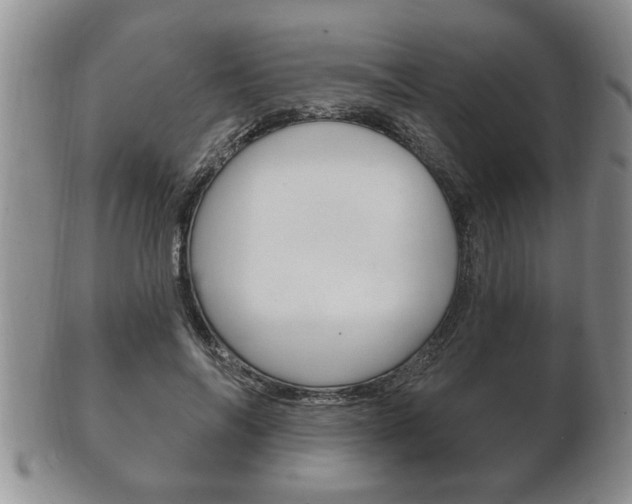 X0000102500694200808080945