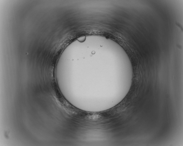 X0000102500695200808080945