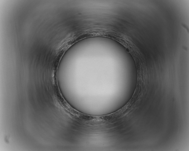 X0000102500696200808080945