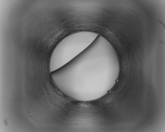 X0000102500697200808080945