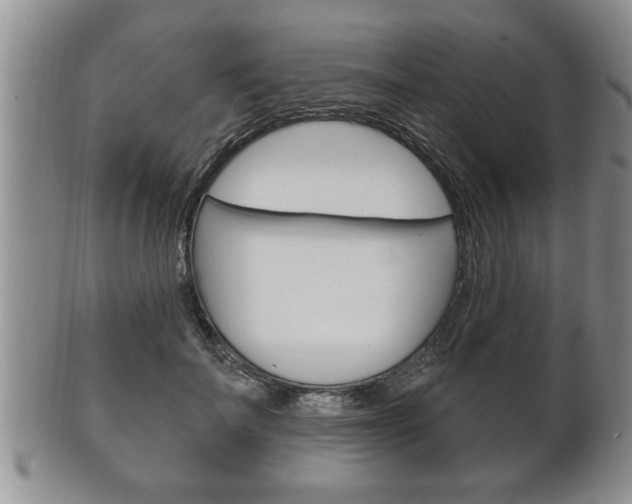 X0000102500699200808080945