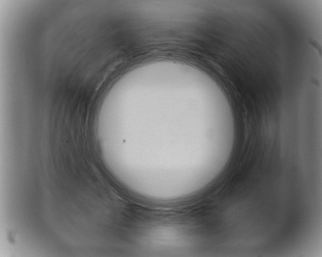 X0000102500701200808080945