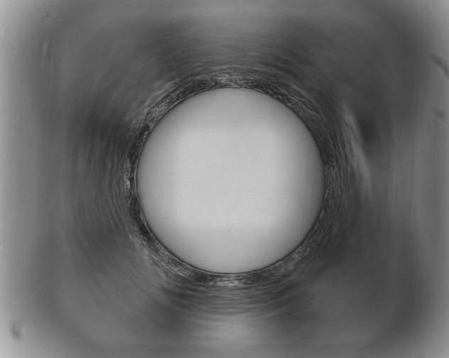 X0000102500702200808080945