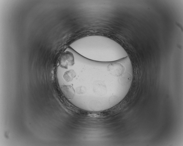 X0000102500703200808080945