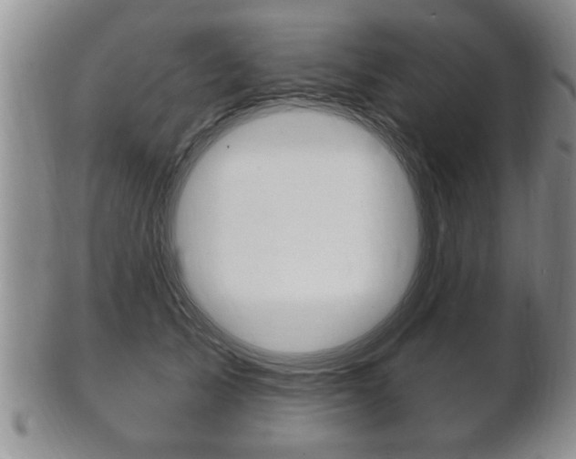 X0000102500705200808080945