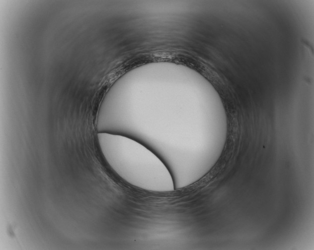 X0000102500707200808080945