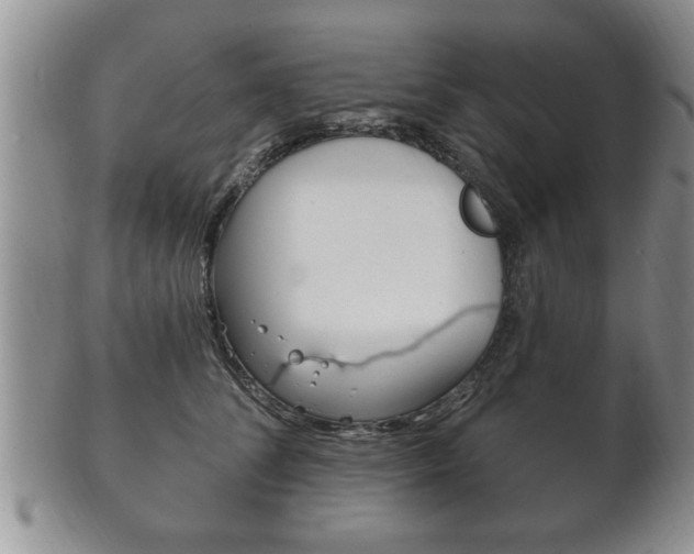 X0000102500708200808080945