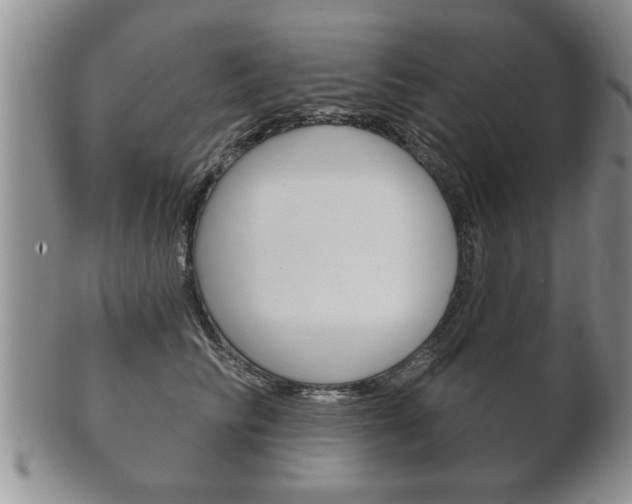 X0000102500710200808080945