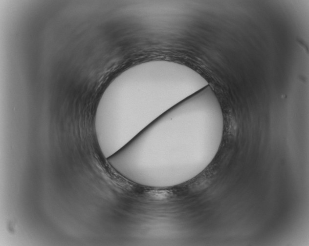 X0000102500711200808080945