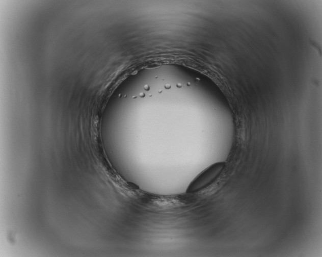 X0000102500712200808080945