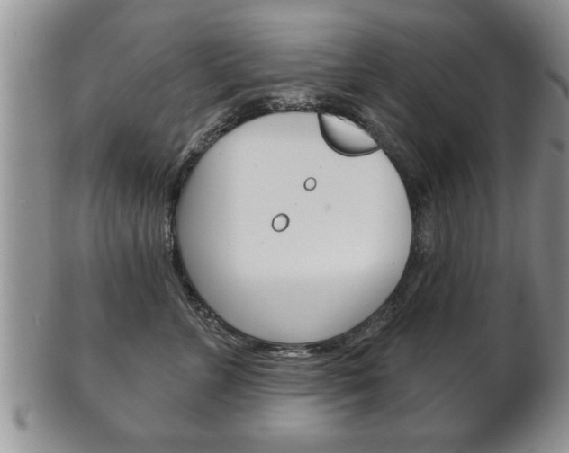 X0000102500715200808080945
