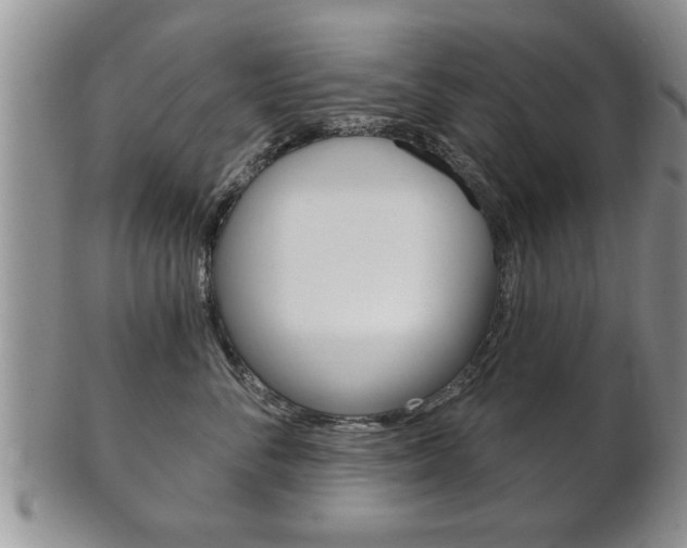 X0000102500716200808080945