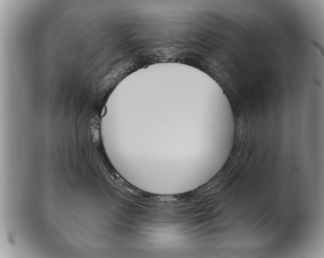 X0000102500719200808080945
