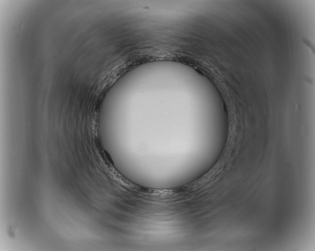 X0000102500720200808080945