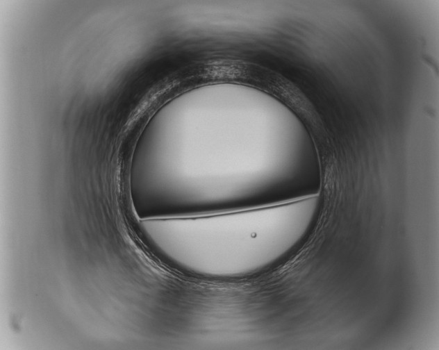 X0000102500722200808080944