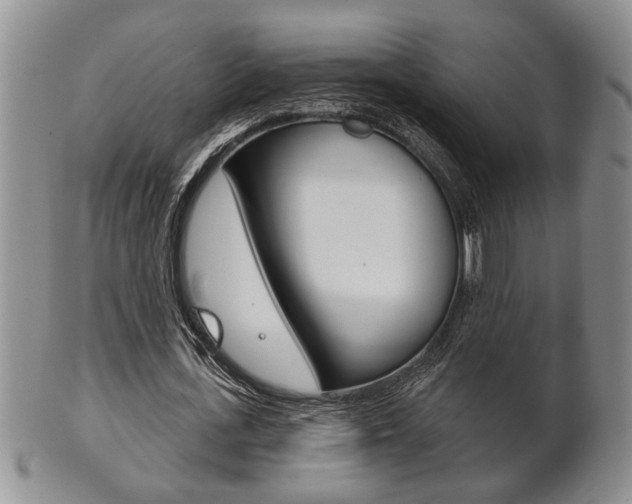 X0000102500723200808080944