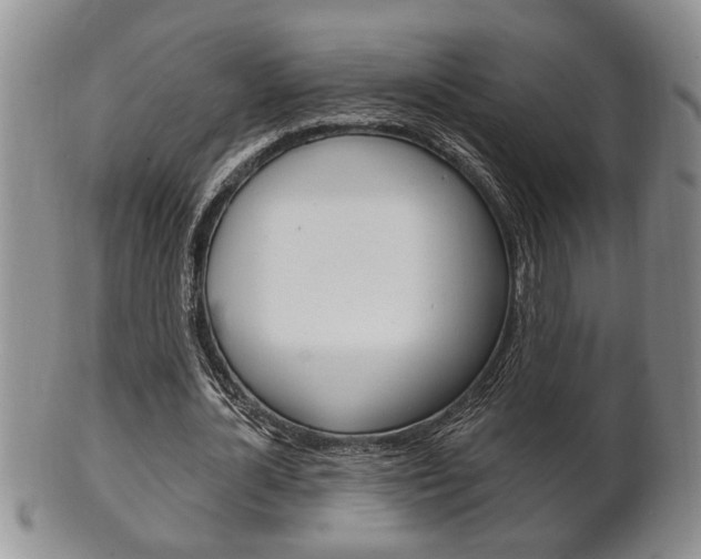 X0000102500724200808080944