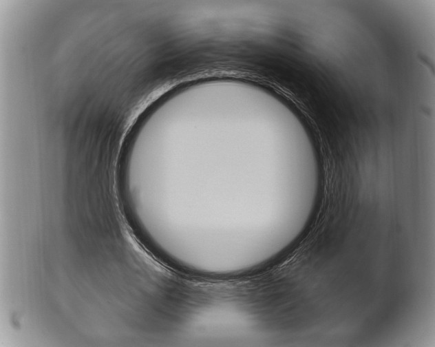 X0000102500726200808080944