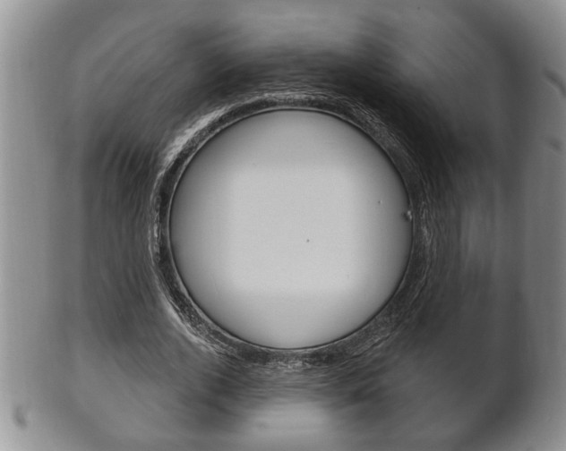 X0000102500728200808080944