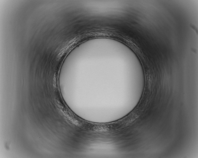 X0000102500729200808080944
