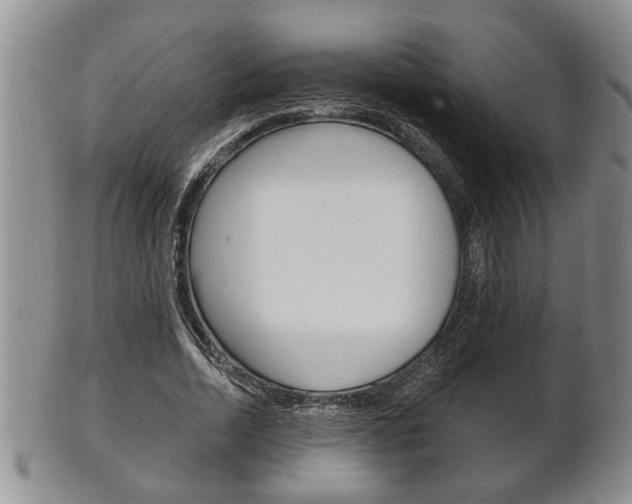 X0000102500730200808080944