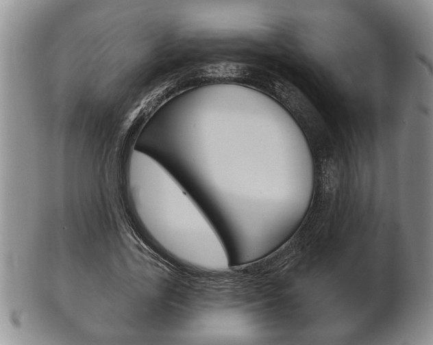 X0000102500731200808080944