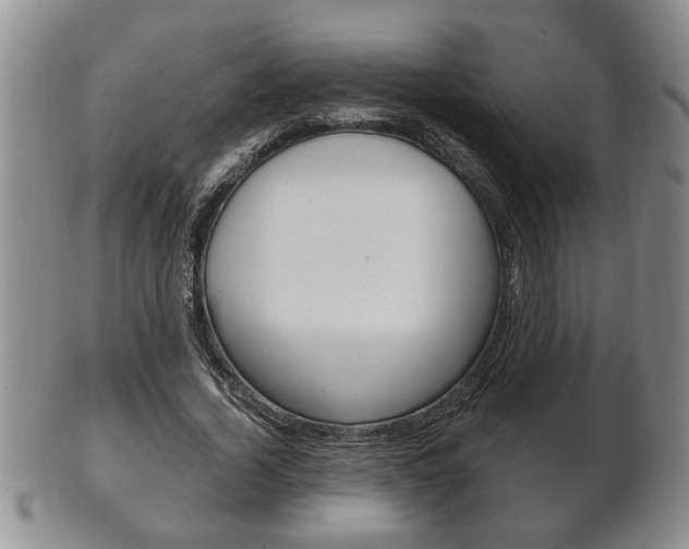 X0000102500732200808080944