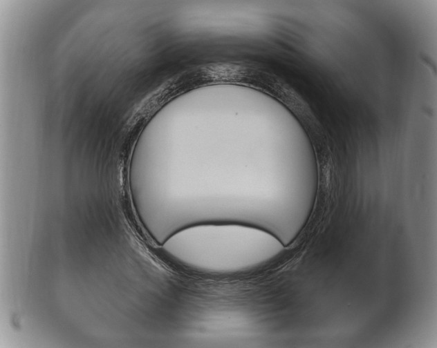 X0000102500733200808080944