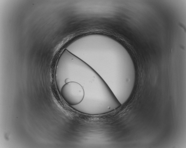 X0000102500734200808080944