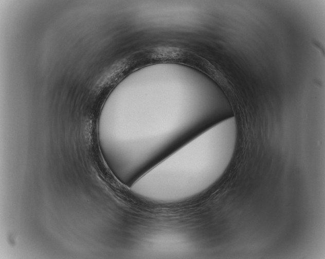 X0000102500735200808080944