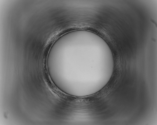 X0000102500736200808080944