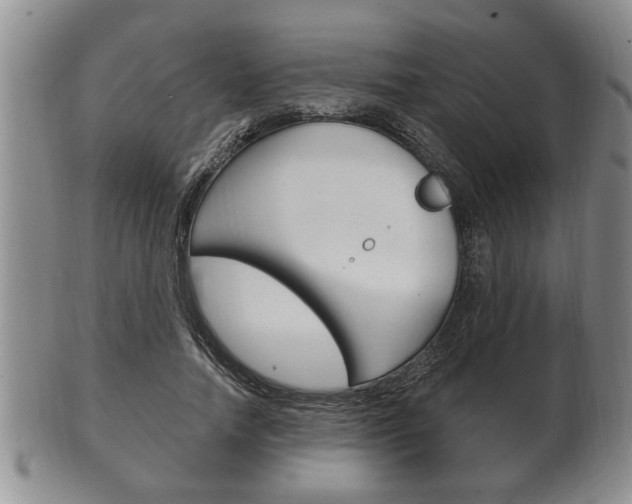 X0000102500738200808080944