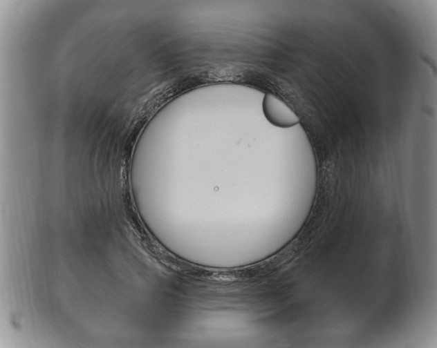 X0000102500741200808080944