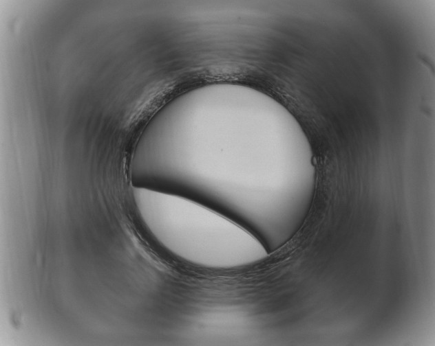 X0000102500742200808080944