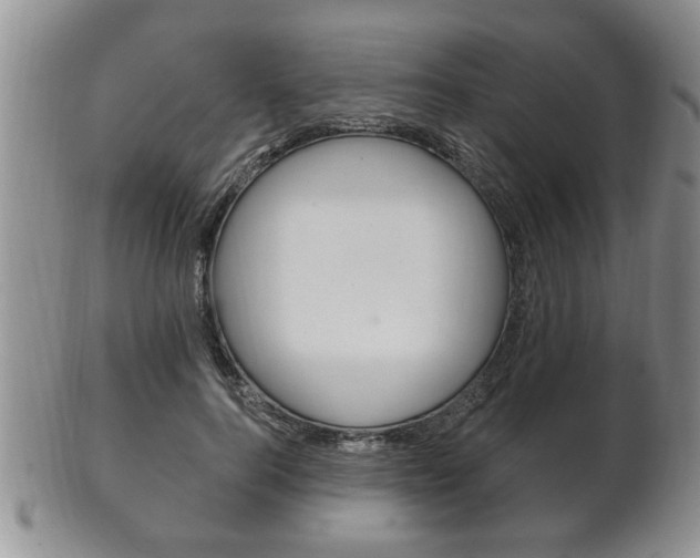 X0000102500744200808080944