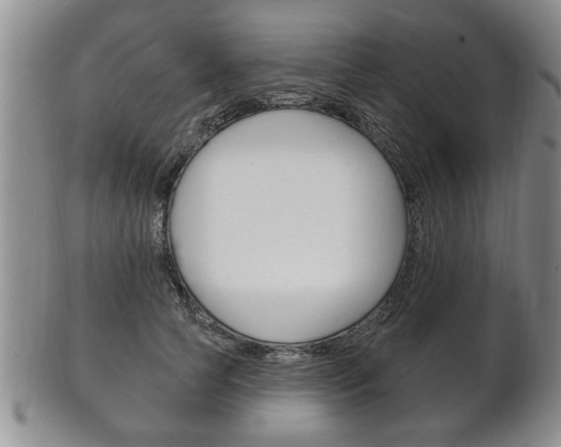 X0000102500745200808080944