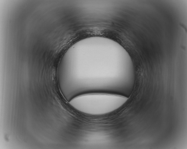 X0000102500747200808080944