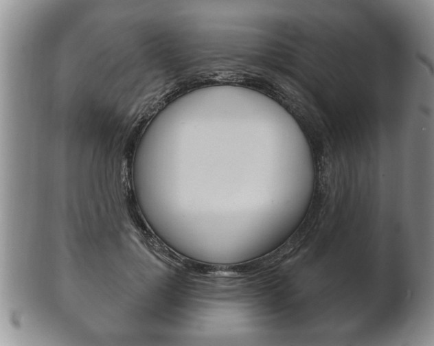 X0000102500748200808080944