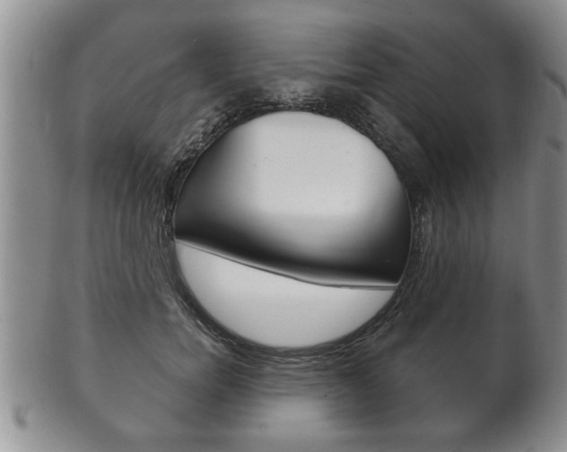 X0000102500750200808080944