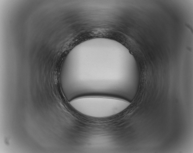 X0000102500751200808080944