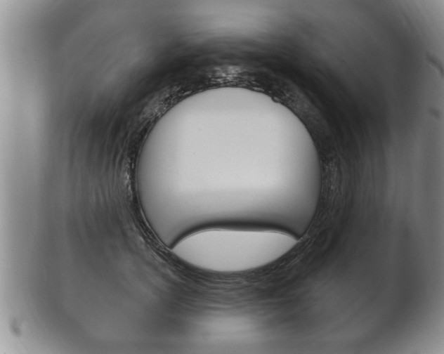 X0000102500754200808080944