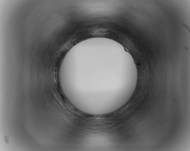 X0000102500755200808080944