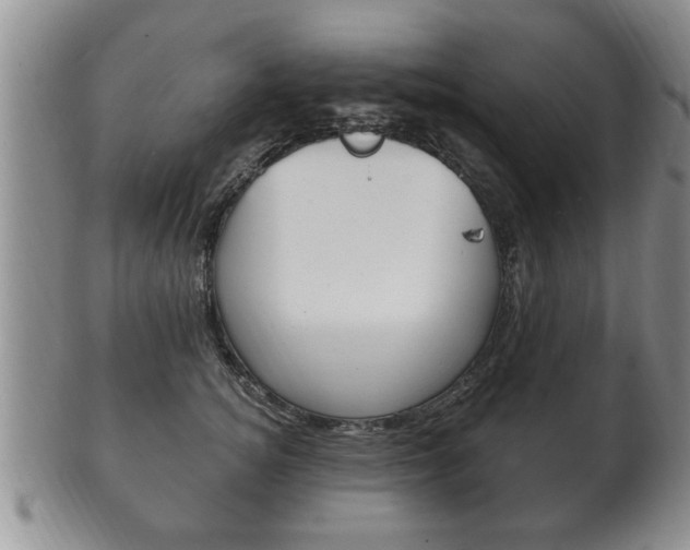 X0000102500756200808080944