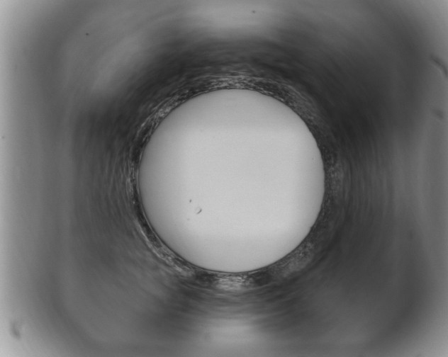 X0000102500757200808080944