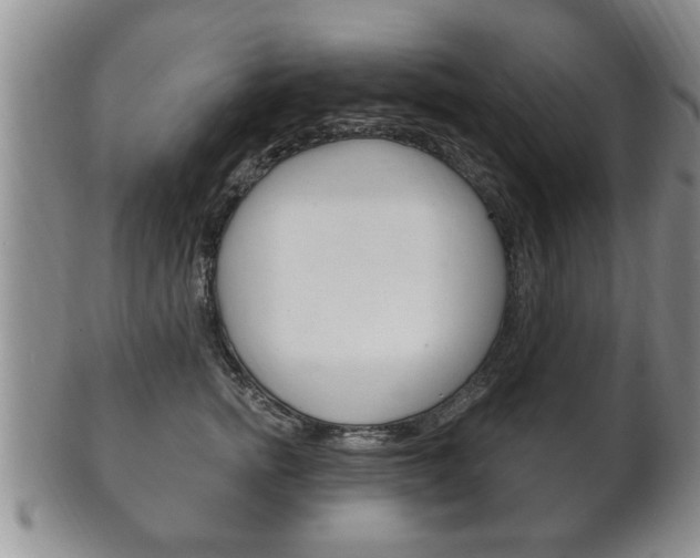X0000102500758200808080945