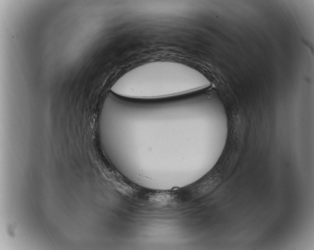 X0000102500759200808080945