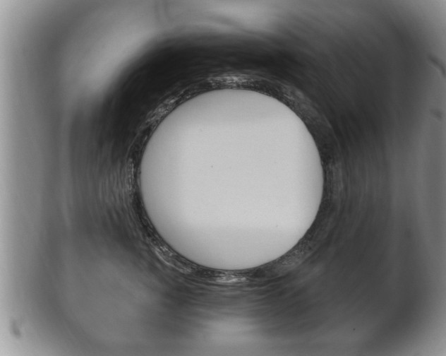 X0000102500760200808080945