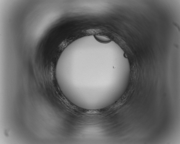 X0000102500762200808080945