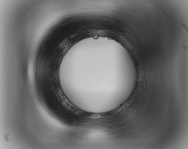 X0000102500764200808080945